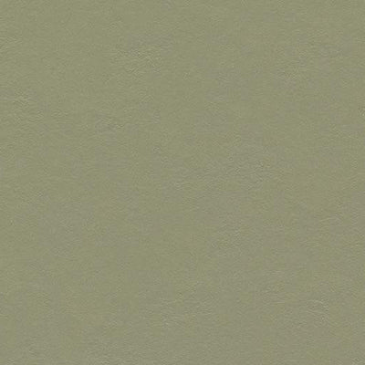 Forbo Marmoleum Walton Cirrus 3355 Rosemary Green Linoleum Sheet Flooring (79" Width)