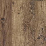 Nutmeg Chestnut