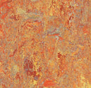 Forbo 3403 Asian Tiger (Partial Piece - Sample)