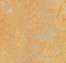 Forbo 3411 Sunny Day (Partial Piece - Sample)