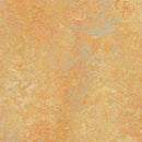 Forbo Marmoleum Marbled Vivace 3411-47832 Sunny Day Linoleum Sheet Flooring (79
