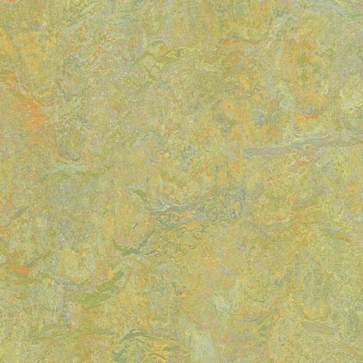 79