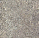 Forbo 3420 Surprising Storm (Partial Piece - Sample)