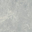Forbo Marmoleum Modular Tile T2621-31523 Dove Grey 19.69
