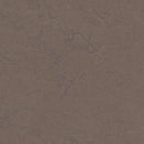 Forbo Marmoleum Concrete 3568 Delta Lace Linoleum Sheet Flooring (79