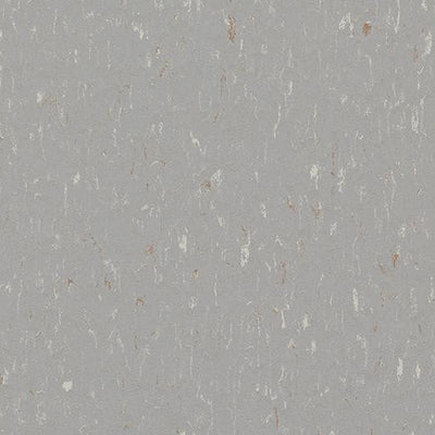 Forbo Marmoleum Piano 3601 Warm Grey Linoleum Sheet Flooring (79" Width)