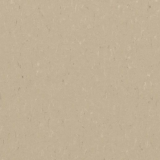 Forbo Marmoleum Piano 3630 Angora Linoleum Sheet Flooring