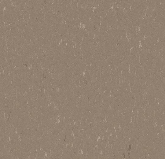 Forbo 3631 Otter (Partial Piece - Sample)
