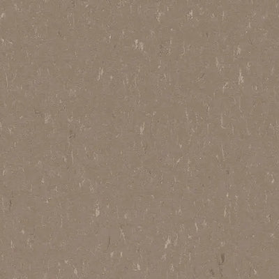 Forbo Marmoleum Piano 3631 Otter Linoleum Sheet Flooring (79" Width)