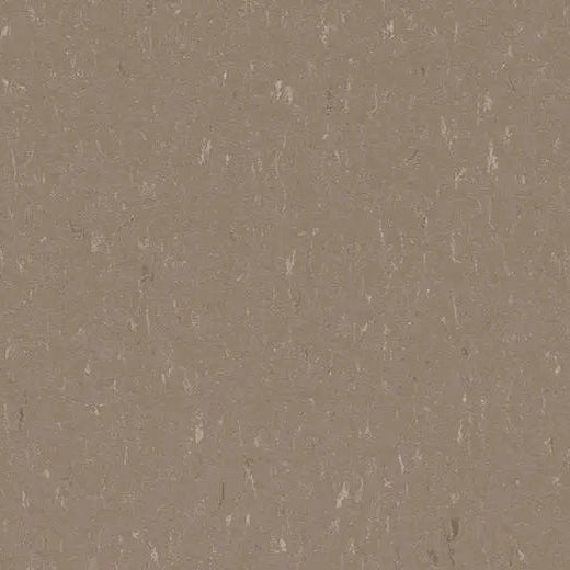 Forbo Marmoleum Piano 3631 Otter Linoleum Sheet Flooring