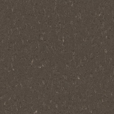 Forbo Marmoleum Piano 3632 Sealion Linoleum Sheet Flooring (79" Width)