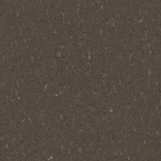 Forbo Marmoleum Piano 3632 Sealion Linoleum Sheet Flooring