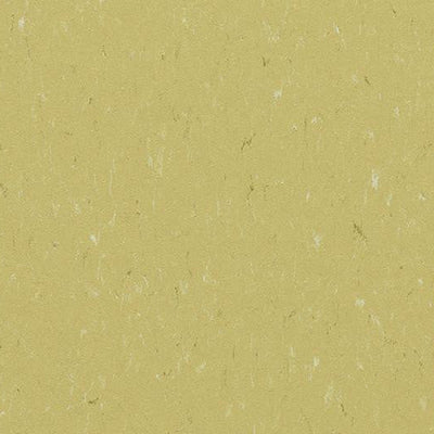 Forbo Marmoleum Piano 3634 Meadow Linoleum Sheet Flooring (79" Width)