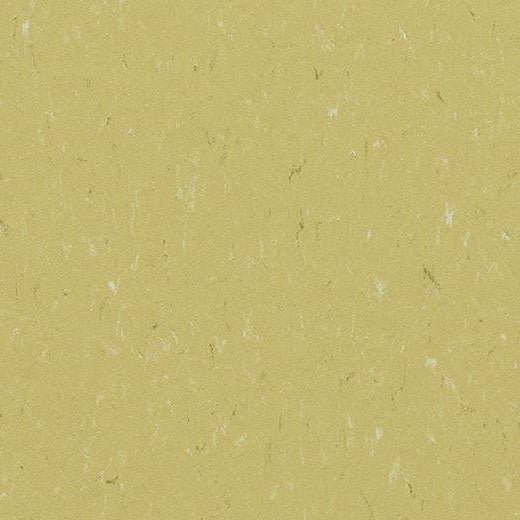 Forbo Marmoleum Piano 3634 Meadow Linoleum Sheet Flooring