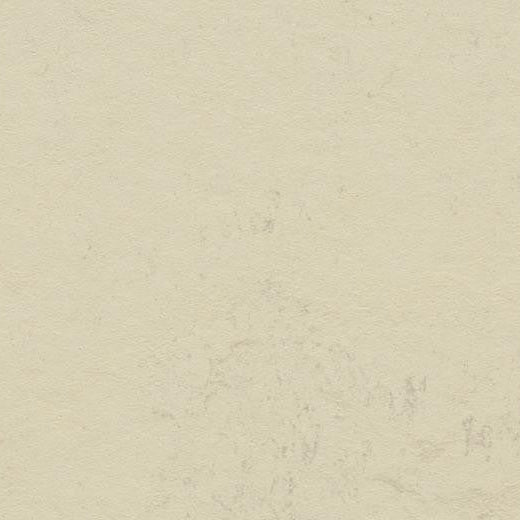 Forbo Marmoleum Concrete 3701 Moon Linoleum Sheet Flooring