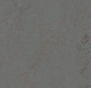 Forbo 3703 Comet (Partial Piece - Sample)