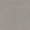Forbo Marmoleum Concrete 3704 Satellite Linoleum Sheet Flooring (79