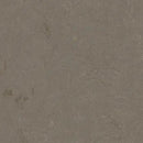 Forbo Marmoleum Concrete 3705 Meteorite Linoleum Sheet Flooring (79