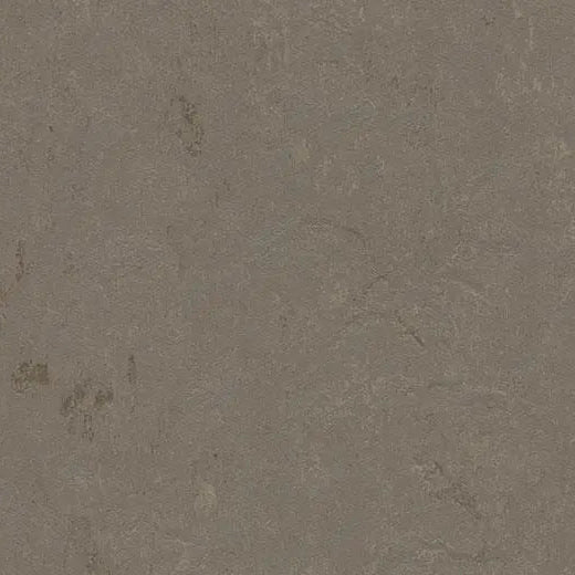 Forbo Marmoleum Concrete 3705 Meteorite Linoleum Sheet Flooring