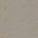 Forbo Marmoleum Concrete 3706 Beton Linoleum Sheet Flooring (79