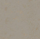 Forbo 3706 Beton (Partial Piece - Sample)