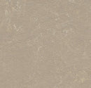 Forbo 3708 Fossil (Partial Piece - Sample)