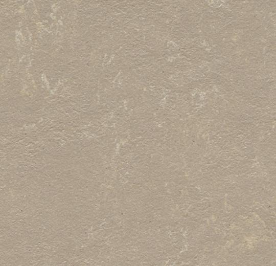 Forbo 3708 Fossil (Partial Piece - Sample)