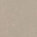 Forbo Marmoleum Concrete 3708 Fossil Linoleum Sheet Flooring (79