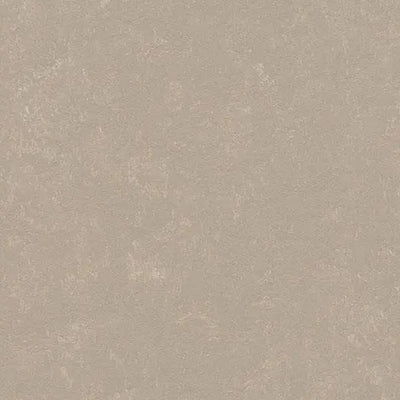 Forbo Marmoleum Concrete 3708 Fossil Linoleum Sheet Flooring (79" Width)