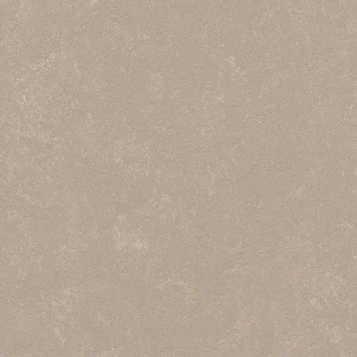 Forbo Marmoleum Concrete 3708 Fossil Linoleum Sheet Flooring