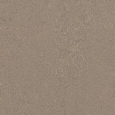 Forbo Marmoleum Concrete 3709 Silt Linoleum Sheet Flooring (79" Width)