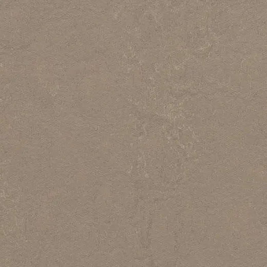 Forbo Marmoleum Concrete 3709 Silt Linoleum Sheet Flooring