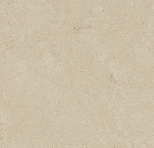 Forbo 3711 Cloudy Sand (Partial Piece - Sample)