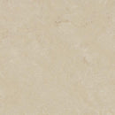 Forbo Marmoleum Concrete 3711 Cloudy Sand Linoleum Sheet Flooring (79