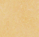 Forbo 3846 Natural Corn (Partial Piece - Sample)