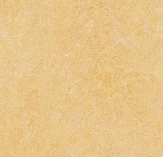 Forbo 3846 Natural Corn (Partial Piece - Sample)