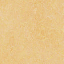 Forbo Marmoleum Marbled Fresco 3846-9433 Natural Corn Linoleum Sheet Flooring (79