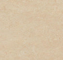 Forbo 3861 Arabian Pearl (Partial Piece - Sample)