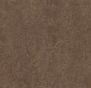 Forbo 3874 Walnut (Partial Piece - Sample)
