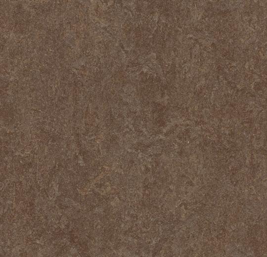 Forbo 3874 Walnut (Partial Piece - Sample)