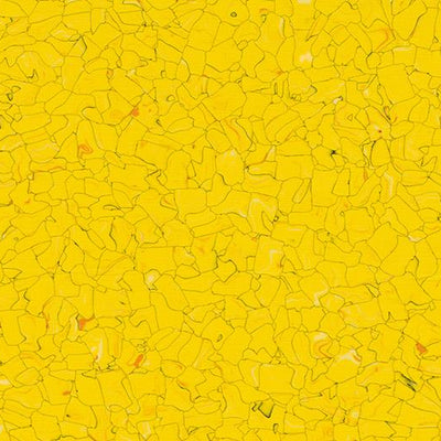 Forbo Colorex Signal SD 150231 Sole 24.2" x 24.2" VCT Tile (56.94 SF/Box)