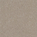 Armstrong 51804 Earthstone Greige Standard Excelon Imperial Texture Vinyl Composition Tile VCT 12