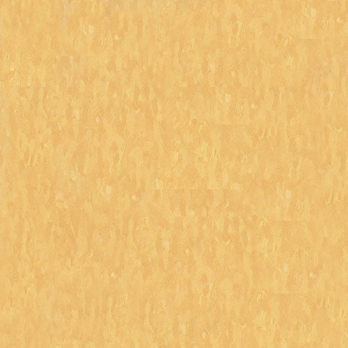 Armstrong Golden 51878 Standard Excelon Imperial Texture VCT Floor Tile 12" x 12" (45 Sq. Ft. / box)