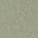 Armstrong 51885 Granny Smith Standard Excelon Imperial Texture Vinyl Composition Tile VCT 12