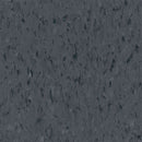 Armstrong Excelon SDT 51959 Coal 12