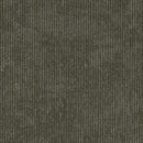 Shaw Biotic 5th & Main 54917-00515 Inherent 24