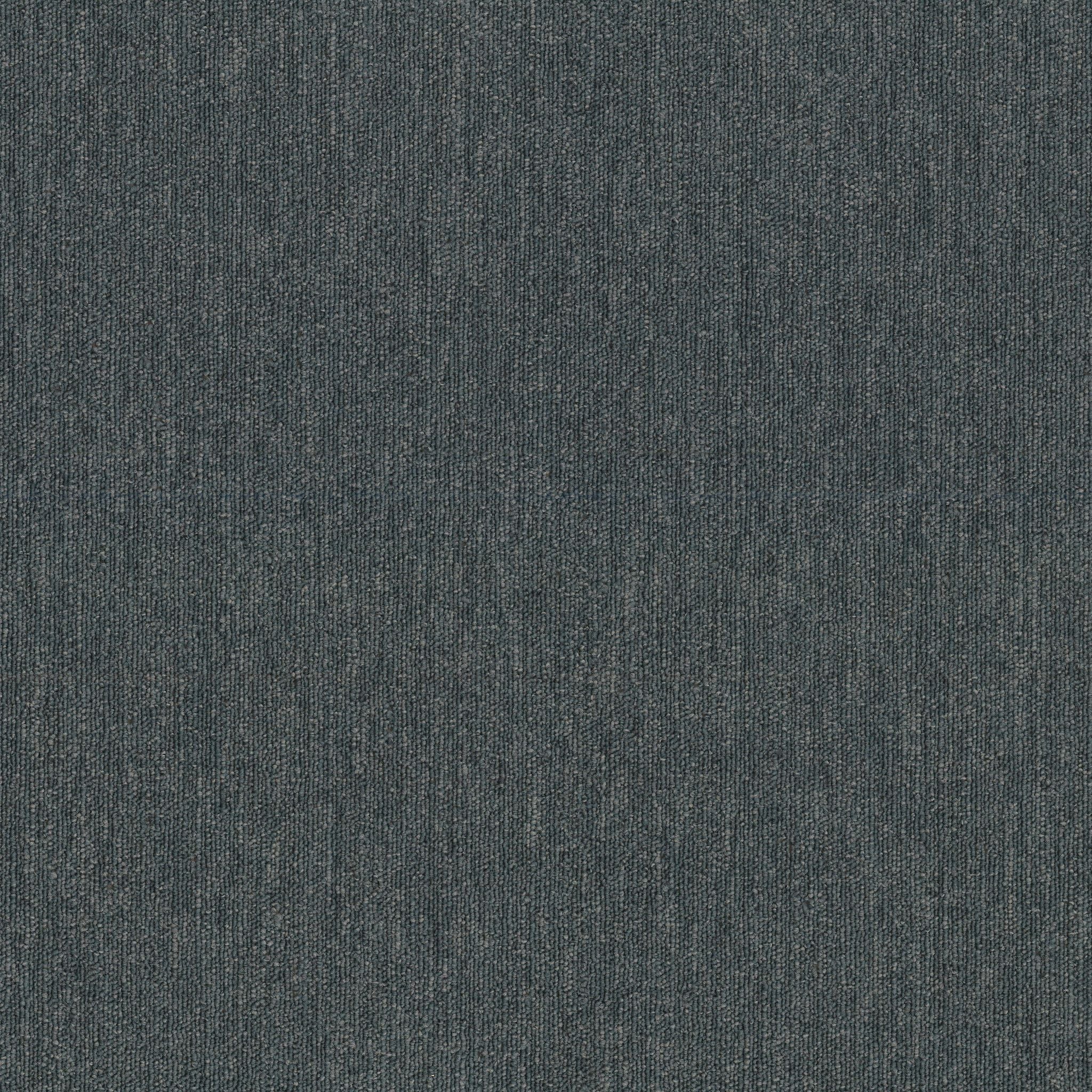 Shaw Beyond Limits 5th & Main 54936-00410 Territory Carpet Tile