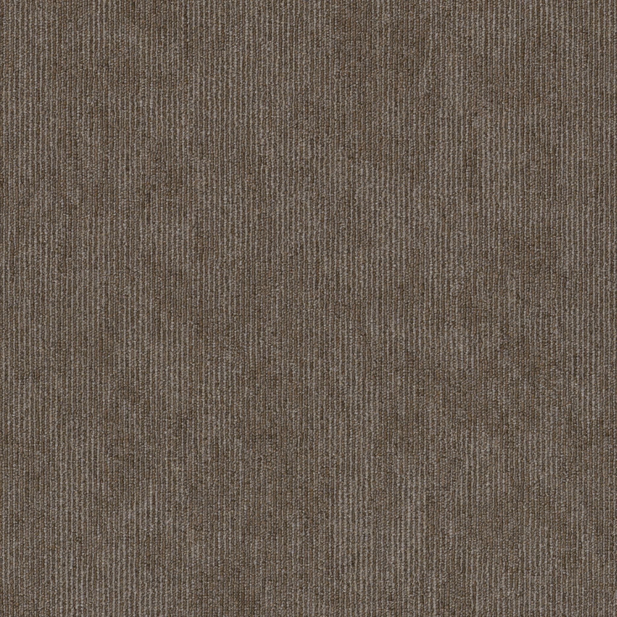 Shaw Contender 5th & Main 54956-00200 Rally Carpet Tile