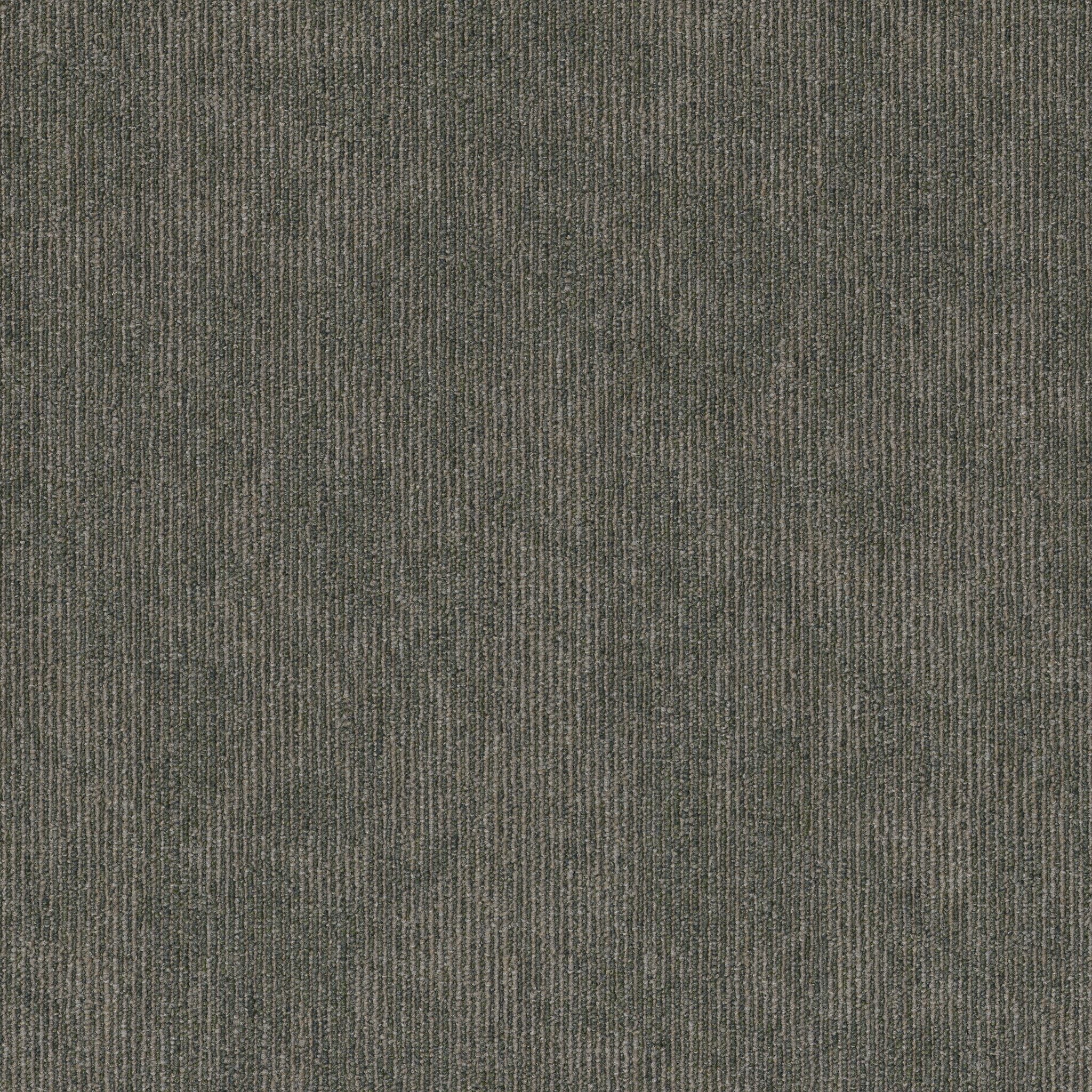 Shaw Contender 5th & Main 54956-00300 Triumph Carpet Tile