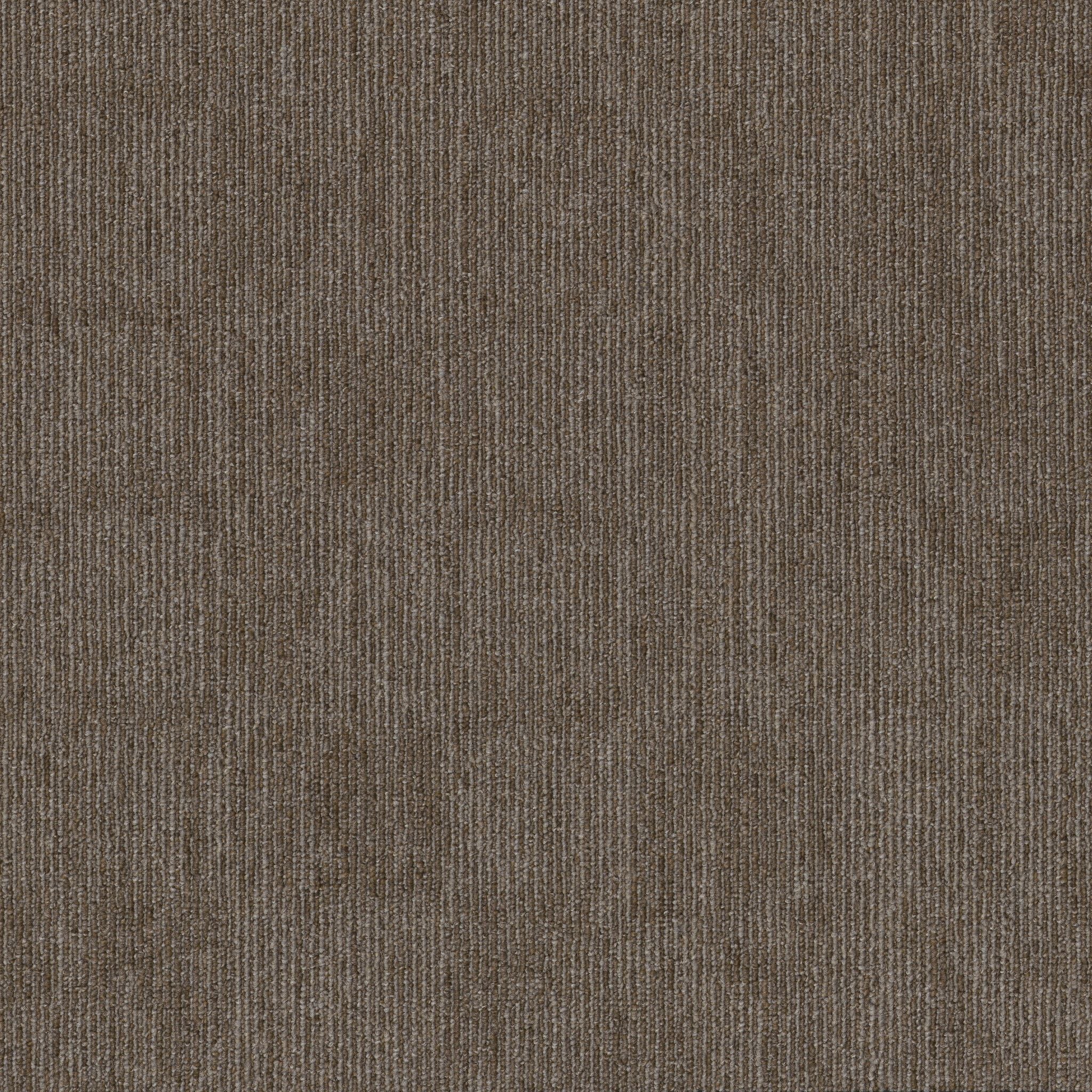 Shaw Knock Out 5th & Main 54957-00200 Rally Carpet Tile